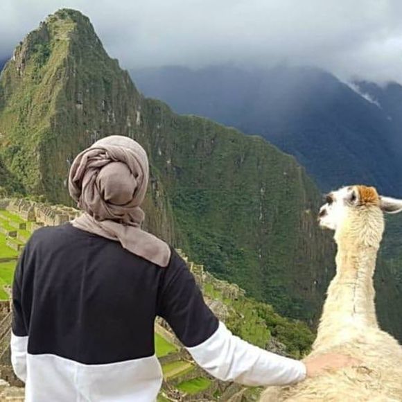 Meet your Posher, Barihan - Picture 1 of 1